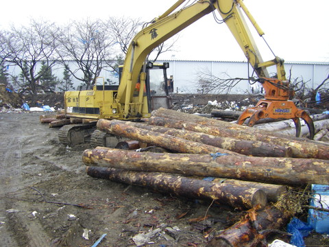 震災後の流出丸太回収の様子