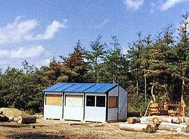 木材置場と被害林