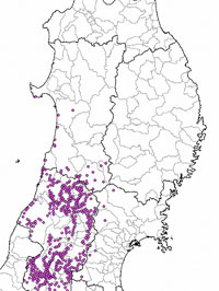 東北地方の発生箇所